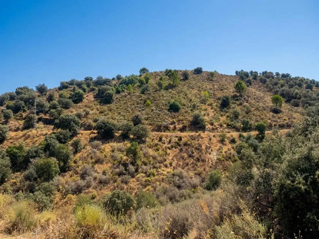 **8,089 m² in Monda for only €9,950 – An exceptional opportunity!**