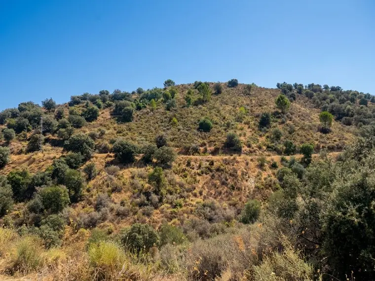 **8,089 m² in Monda for only €9,950 – An exceptional opportunity!**