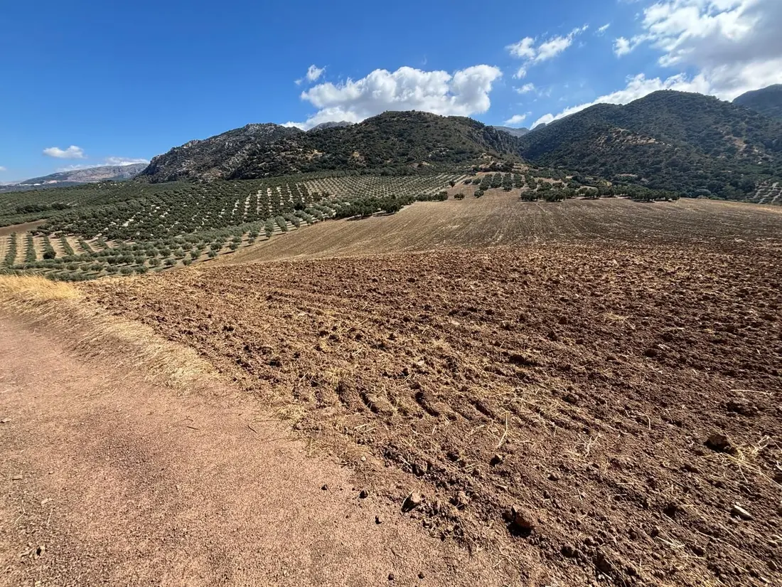 Finca de Regadío en la Sierra del Nebral.