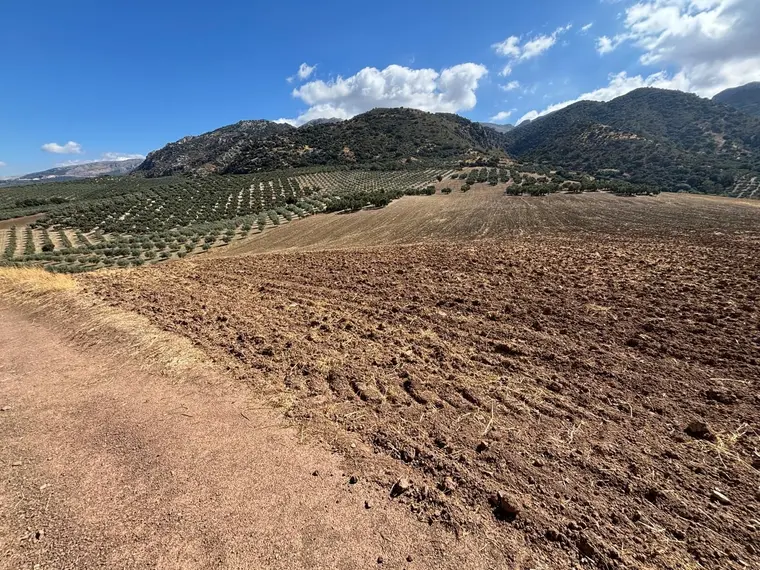 Exceptional 25-hectare irrigated estate in Anteque